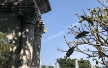 白云山国家级风景名胜区-凉亭