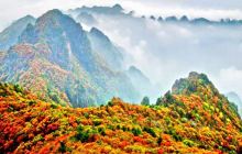 沁水历山国家森林公园