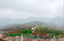 鄞洲四明山革命烈士陵园
