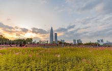 深圳湾公园B区-流花山