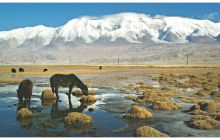 达瓦昆沙漠旅游风景区