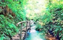 沟崖自然风景区