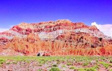 卡拉麦里自然保护区