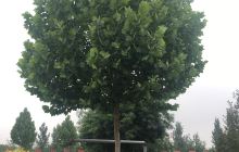 你好，小时候，怀旧主题展