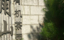 大用山有机茶基地