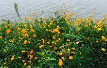 国营四七一公园