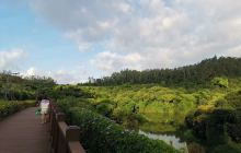 深圳市水土保持科技示范园