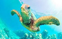 华夏文旅海洋公园