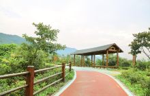 龙池山自行车公园