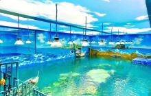 温州海洋馆