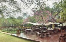 客林爱丽丝庄园