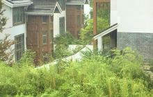 云海间度假酒店温泉