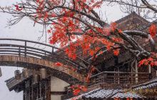 世茂莲花山小镇