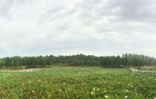 九华湖德文化公园