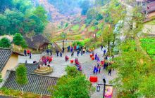 景宁畲族自治县