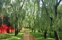 戴河·海公园（西门）