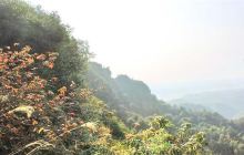 浏阳石牛寨风景区