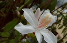 孙道临电影艺术馆