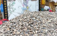 树袋熊儿童乐园