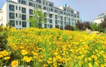 临沂大学