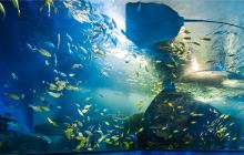 浔龙河甜甜湾室内动物城