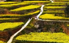 登封市少林寺罗汉院