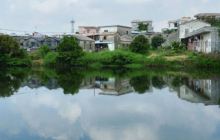 开平水口松朗村