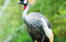 张渚红色文化展示馆