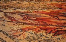 吉大景山社区公园