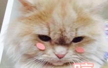 湖南中医药大学图书馆