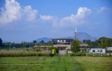 水乡薰衣草芳香植物园