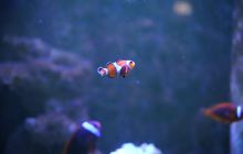 嘉兴极地海洋馆