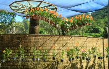 南天热带植物园