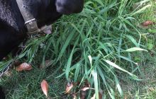 中国（无锡）国际车博会