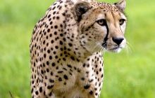 基督教会碑林文昌门聚会点