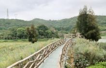 南澳白鹭生态公园
