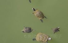 英国斯顿亨治环状列石