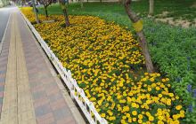 石家庄学院(南校区)-政治与法律...