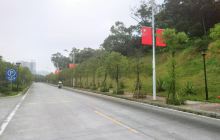 金鸡岭森林公园