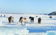 龙珠二龙山滑雪场