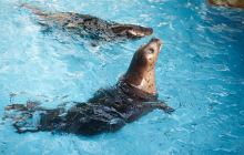 中共浙南特委成立旧址