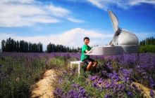 科古尔琴薰衣草庄园