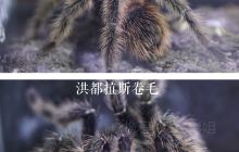 蜜你蜂生态昆虫博物馆