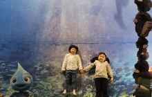 鼓浪屿·贝壳博物馆