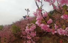 济南市历下区档案馆