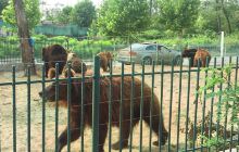 北戴河自然生态公园