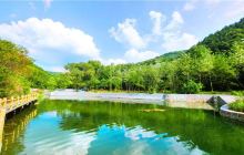 燕子山原始生态旅游风景区