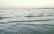 紫巾山森林公园