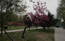 河心岛体育主题公园