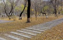 黑龙江中医药大学